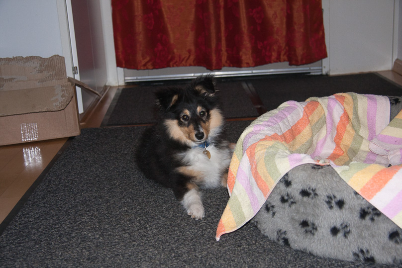 Familie, sara - 07 maart 2012