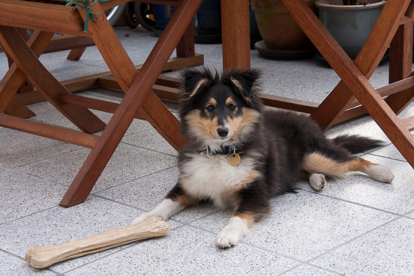 Familie, sara - 01 april 2012