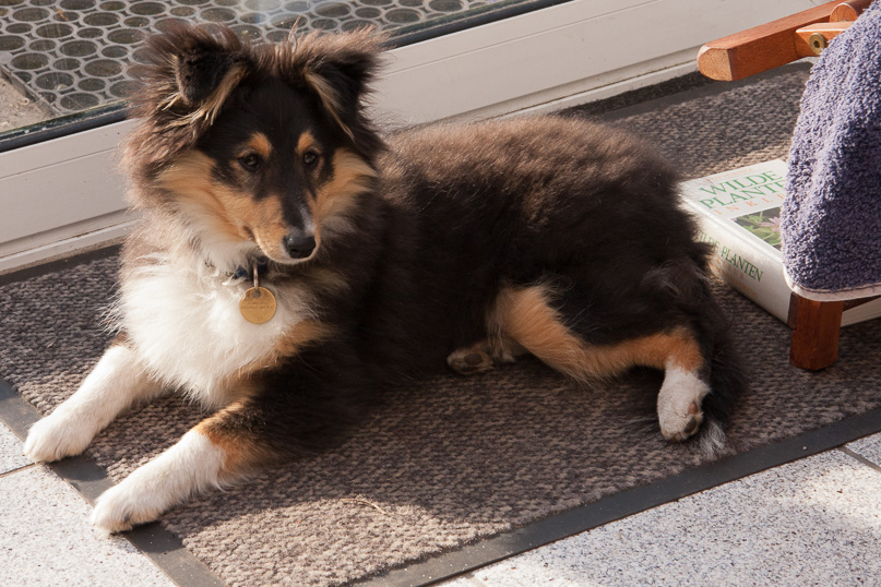 Familie, sara - 01 april 2012