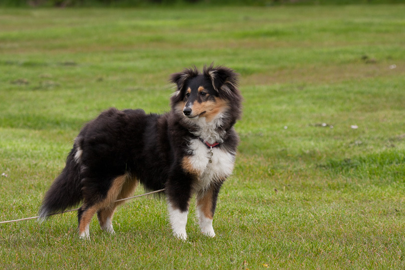 Familie, sara - 29 april 2012