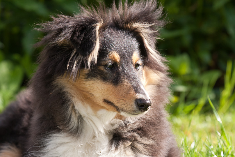 Familie, sara - 29 april 2012