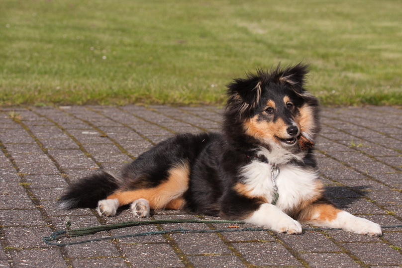 Familie, sara - 15 mei 2012