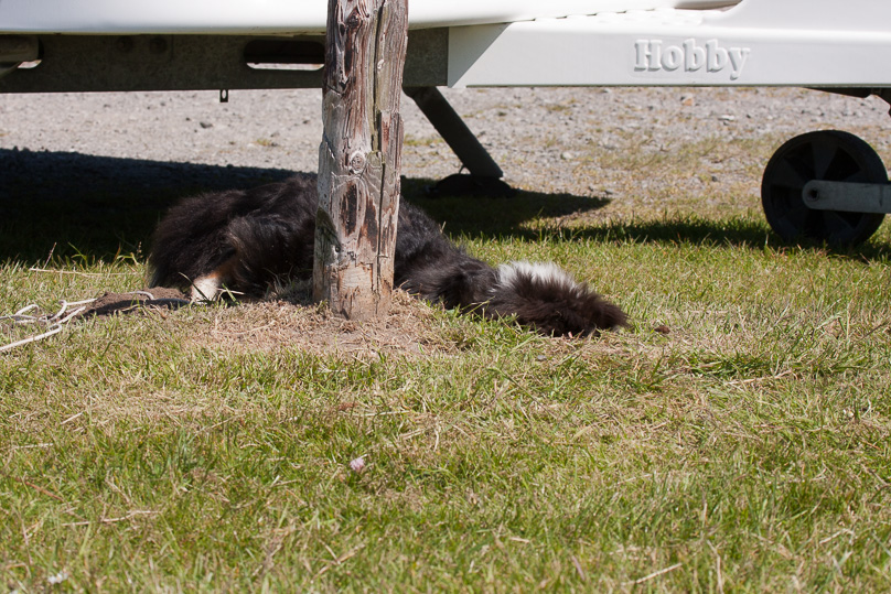 Familie, Zeeland, sara - 25 mei 2012