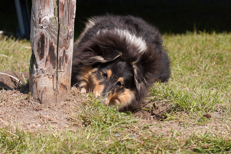 Familie, Zeeland, sara - 25 mei 2012