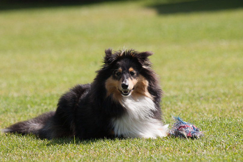 Familie, sara - 03 augustus 2012