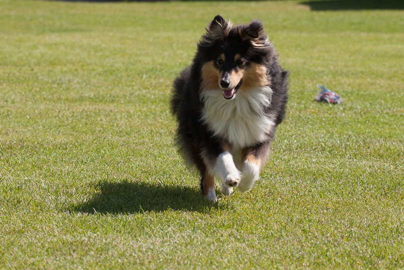 Familie, sara - 03 augustus 2012