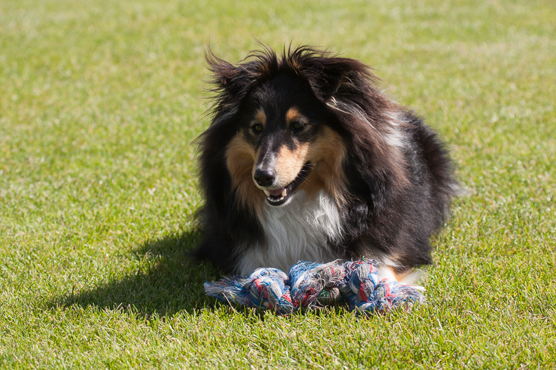 Familie, sara - 03 augustus 2012