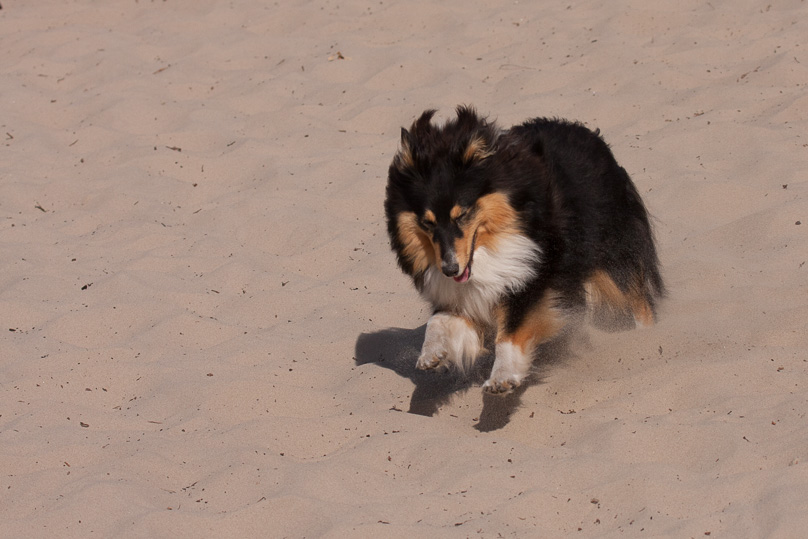 Familie, Zeeland, sara - 06 september 2012