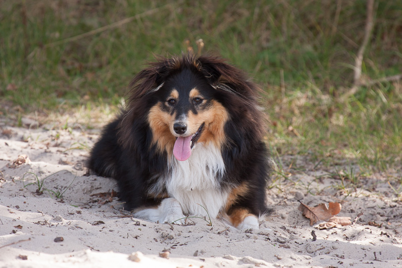 Familie, Zeeland, sara - 06 september 2012