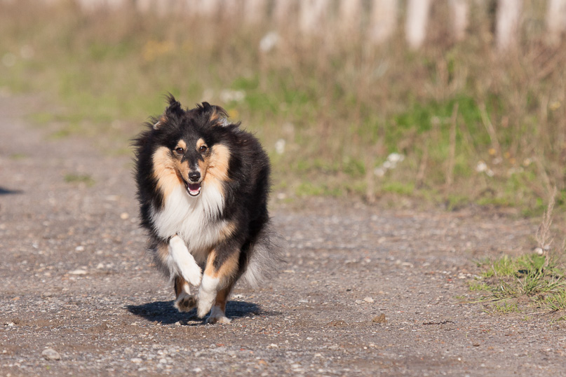 Familie, Zeeland, sara - 27 oktober 2012