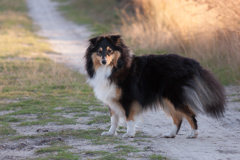 Beuven, Familie, sara - 31 oktober 2012