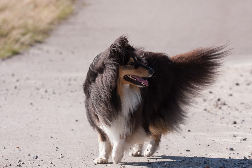 Familie, sara - 30 augustus 2013