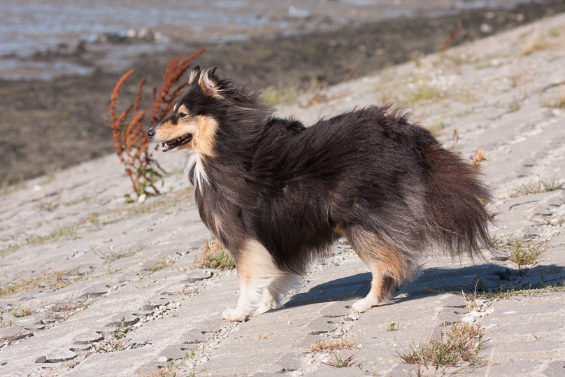Familie, sara - 30 augustus 2013