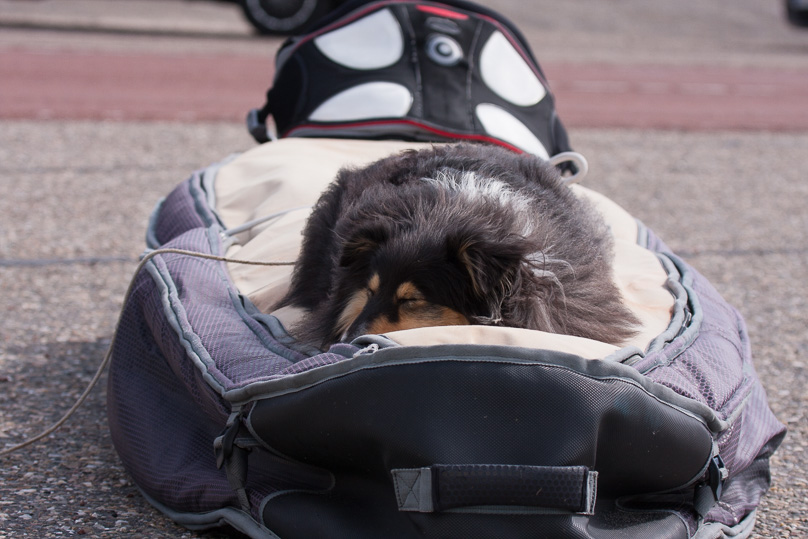 Familie, sara - 31 augustus 2013