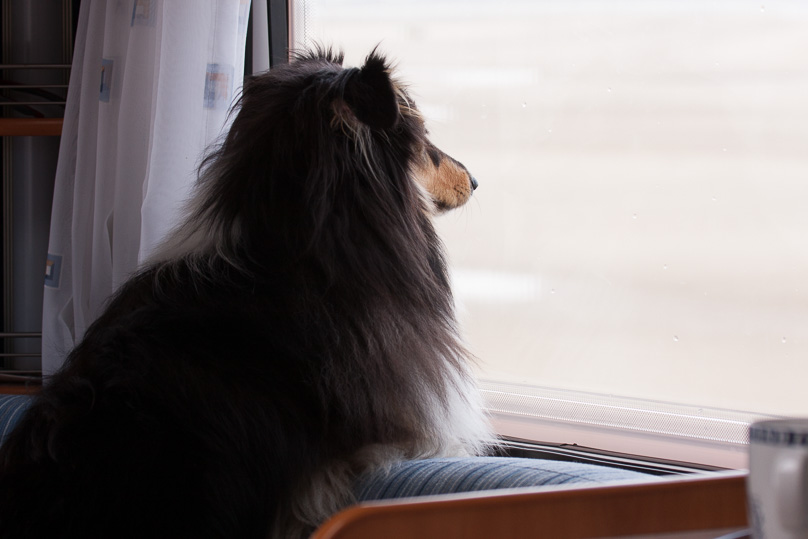 Familie, Zeeland, sara - 10 september 2013
