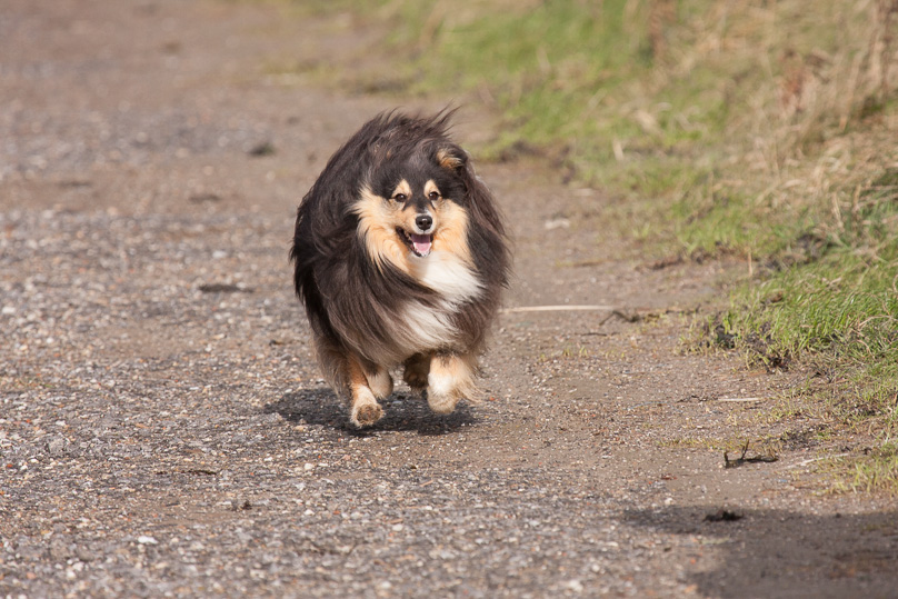 Familie, sara - 22 oktober 2014