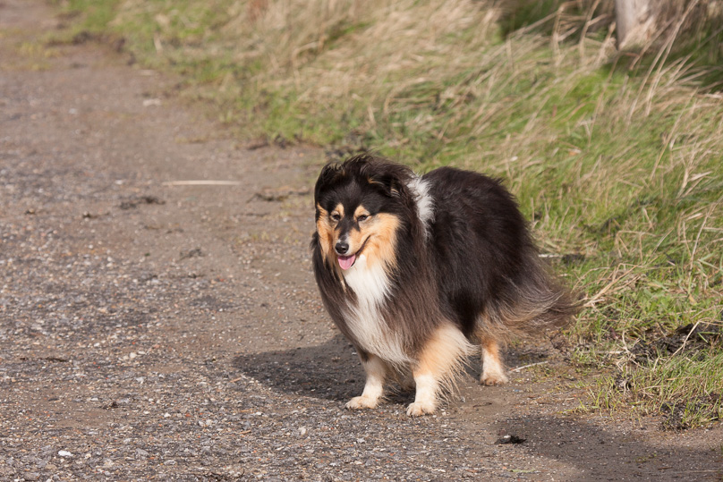 Familie, sara - 22 oktober 2014
