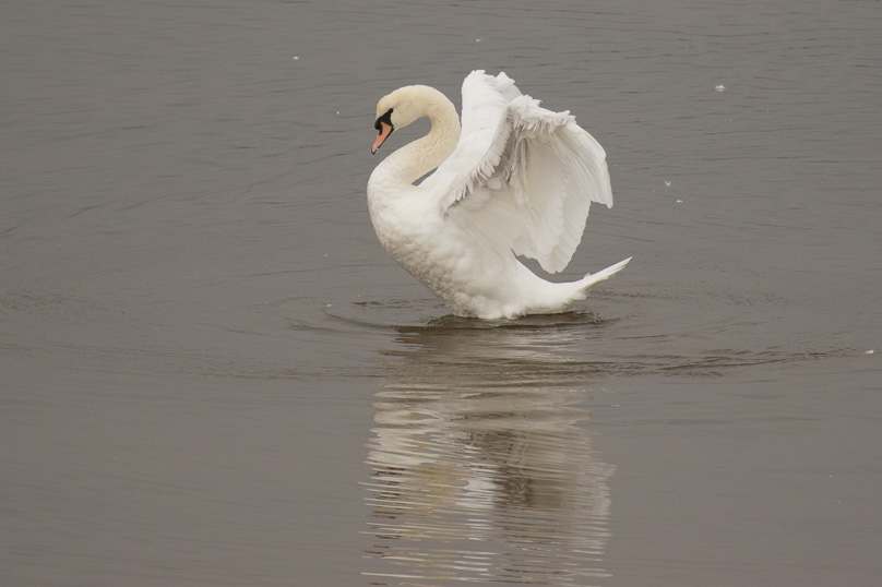 Zeeland - 17 oktober 2015