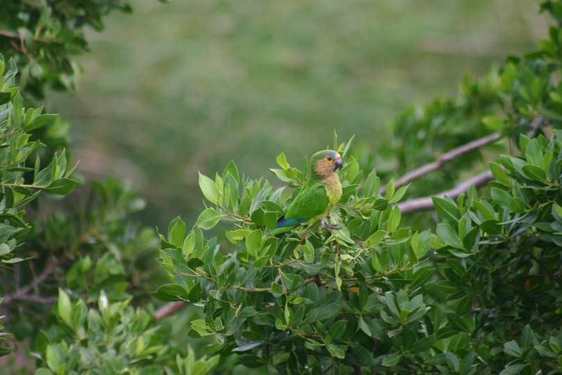 Vakantie - 07 februari 2006