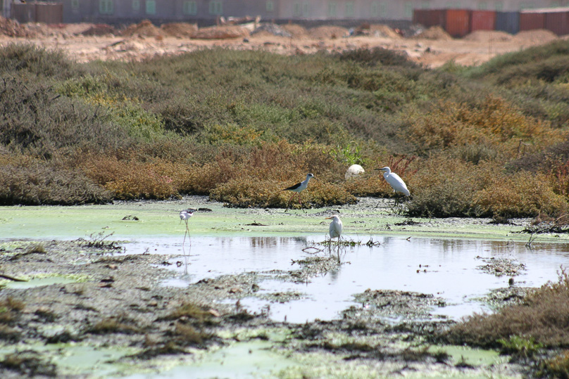 Cabo Verde, Vakantie - 12 februari 2008